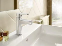 Roca Arola - Wastafelkraan, Chroom A5A326AC0K -Badkamer Luxe 043e59da95dcbccc6e1cc209