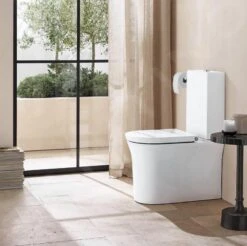 Duravit White Tulip - Duoblok Toilet, Vario Afvoer, Rimless, Met WonderGliss, Wit 21970900001 -Badkamer Luxe 11c50fd311697bb996da586f