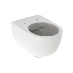 Geberit Selnova - Wandcloset, 530x355 Mm, Rimfree, Wit 500.694.01.2