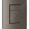 Grohe Skate Cosmopolitan - Bedieningsplaat, Grafiet Donker, Geborsteld 38732AL0