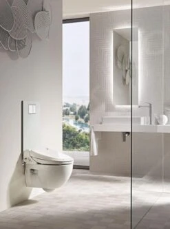 Geberit AquaClean - Afdekplaat Met Geïntegreerde Bediening Voor Een Compleet Toilet, Glas/wit 115.328.SI.1 -Badkamer Luxe 1b62174a7b009276f85b6c95