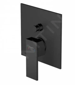 Steinberg 160 - Inbouwkraan Voor 2 Functies, Mat Zwart 160 2103 3 S