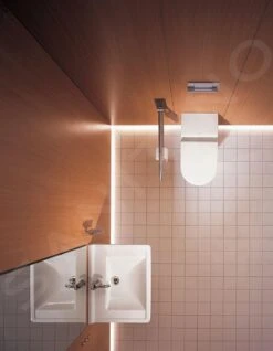 Duravit Starck 3 - Wandcloset, Voor Gehandicapten, Met HygieneGlaze, Alpine Wit 2203092000 12 Duravit Starck 3 - Wandcloset, Voor Gehandicapten, Met HygieneGlaze, Alpine Wit 2203092000 -Badkamer Luxe 3d1a34a6a0d032123acc0ac1