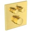 Ideal Standard CeraTherm Navigo - Inbouwthermostaat, Opbouwdeel, 2 Gebruikers, Brushed Gold A7302A2