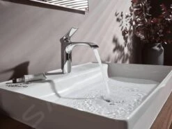 Hansgrohe Vivenis - Wastafelkraan 110, EcoSmart, Chroom 75022000 -Badkamer Luxe 6ddf82ca9c94e6fc0eee670d