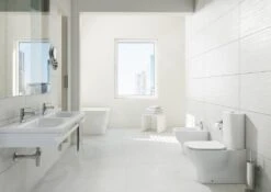 Ideal Standard Tesi - Staand Toilet, Horizontale Afvoer, AquaBlade, Wit T008201 -Badkamer Luxe 93d26767f380f03193f82661