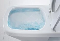 Duravit DuraStyle - Wandcloset Met SoftClose Wc Bril, Rimless, Met WonderGliss, Alpine Wit 45510900A11 -Badkamer Luxe a9da5a6fd78703973a9074cc