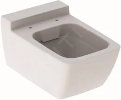 Geberit Xeno 2 - Hangend Toilet, 540x350 Mm, Rimfree, Wit 500.500.01.1