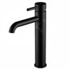 Steinberg 100 - Wastafelkraan, Mat Zwart 100 1710 S